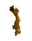 View HYBRID PLANE (Platanus Acerifolia) - 04